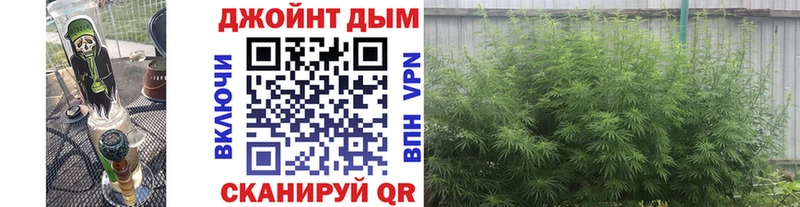 Магазины продажи наркотиков Балашов СОЛЬ Гашиш Псилоцибиновые грибы Cocaine