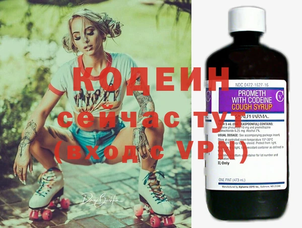 сатива Россошь
