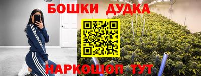 прущие крисы Донецк