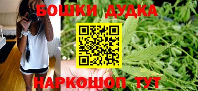 хмурый Дубна