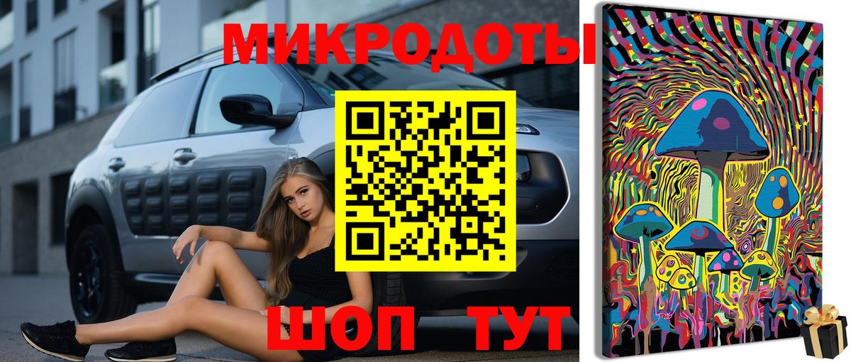 Галлюциногенные грибы MAGIC MUSHROOMS  Балашов  Галлюциногенные грибы Psilocybine cubensis 